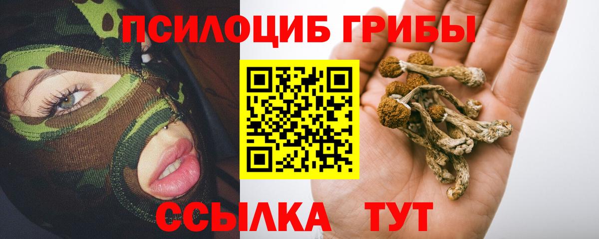 Галлюциногенные грибы Magic Shrooms Луховицы